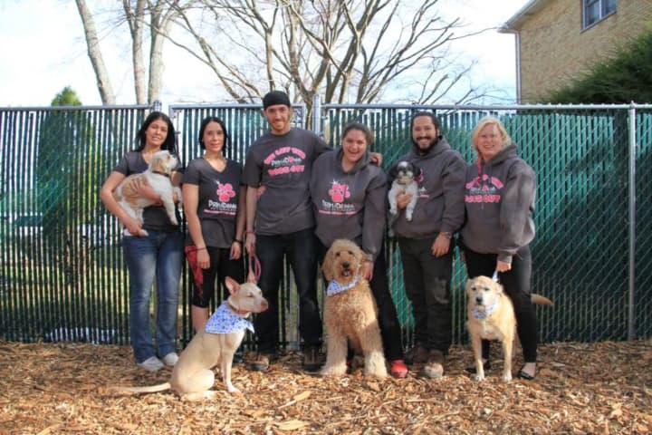 The team at Prima Donna Pet Services in White Plains.