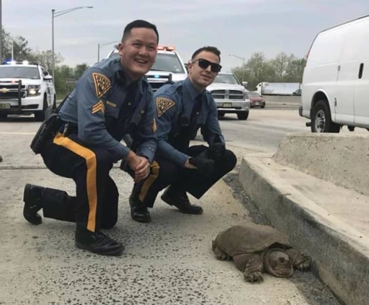 New Jersey State Troopers rescued a snapping turtle from the New Jersey Turnpike Friday.