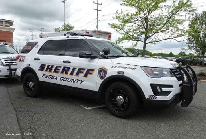 An Essex County Sheriff&#x27;s Officer rescued a 4-year-old girl from drowning.