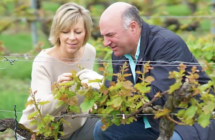 Married nearly 30 years: Linda and Kevin O&#x27;Leary
