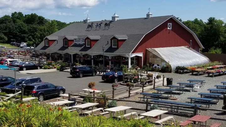 Demarest Farms is one of the most popular apple picking spots in Bergen County.