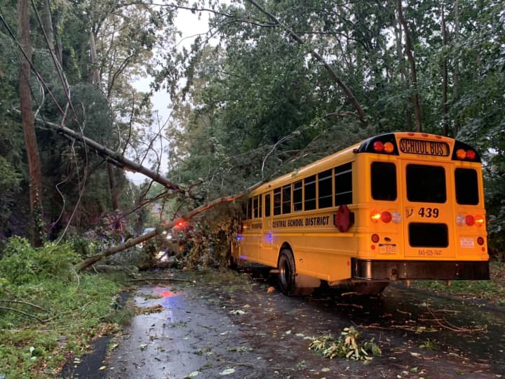 A tree fell on a Mahopac Central School District Bus on Agor Lane in Mahopac, police said.
