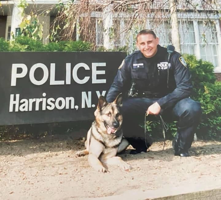<p>Retired Harrison Police Sergeant&nbsp;Christopher Provenzano, pictured with his partner, Brixx.&nbsp;</p>