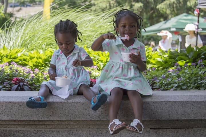 Young visitors enjoy the Lockwood-Mathews Mansion Ice Cream Social in 2015.