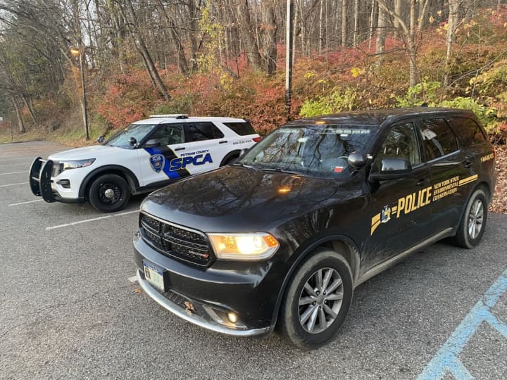 <p>Putnam County SPCA officers responded to a parking lot in Patterson to investigate the discovery of a carcass that ended up being a coyote.&nbsp;</p>
