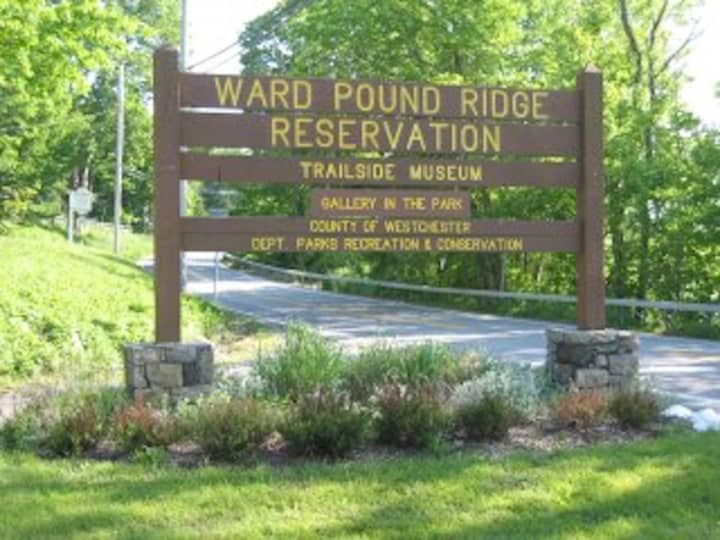 Ward Pound Ridge Reservation