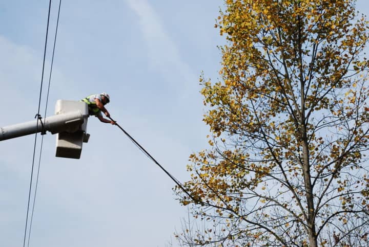 A worker cutting a branch as part of Jersey Central Power &amp; Light's tree-trimming program.