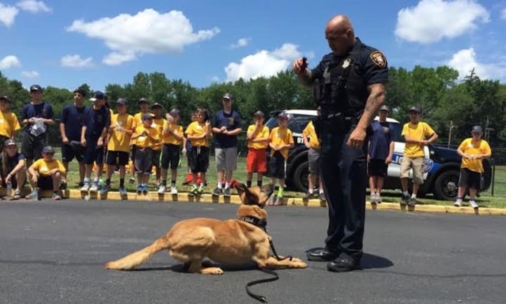 A Paterson police officer and one of the dogs in the K9 unit put on a show for the Pascack Valley Junior Police Academy.