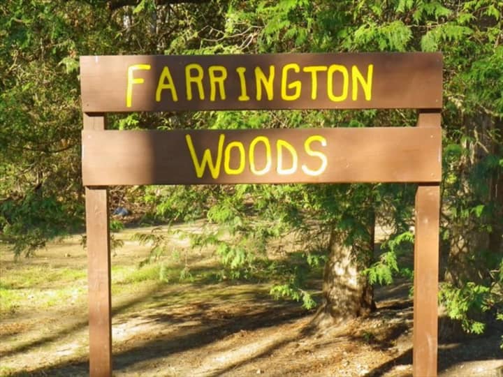 A missing mountain biker was found dead in Farrington Woods in Danbury.