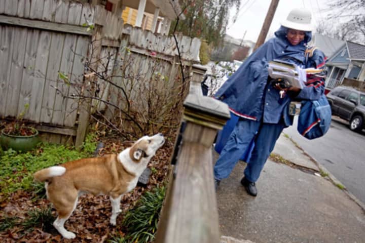 Overall, there were more than 500 fewer dog attacks on postal workers nationwide last year than in 2016, the U.S. Postal Service said.