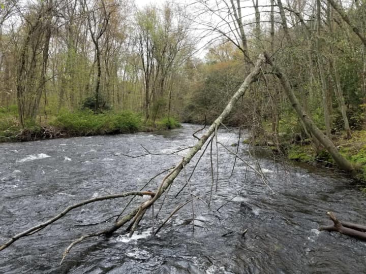 The Hammonasset River where the incident occurred.