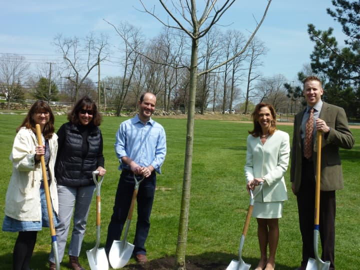 Scarsdale Assemblywoman Amy Paulin planting a tree last year. The village has been named a Tree City USA community for the 33rd straight year in 2015.