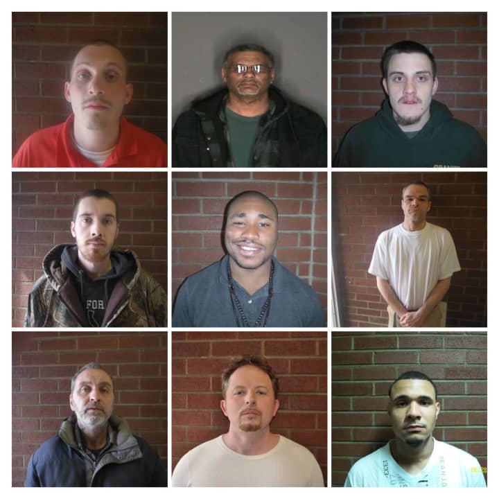 Eleven men were arrested by the Village of Liberty Police during an ongoing sex offender compliance operation.