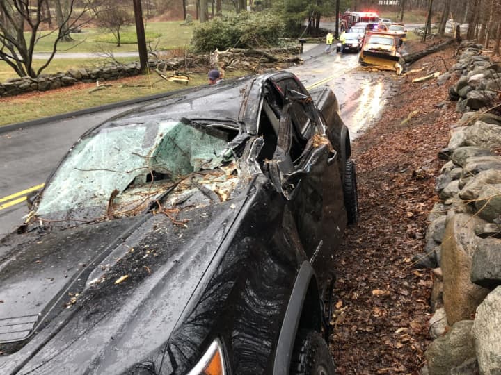 A driver was saved by firefighters after a tree fell on his truck.