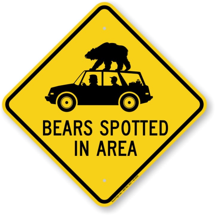 A bear was spotted in Ridgefield.