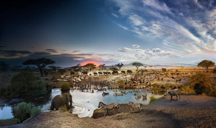 Stephen Wilkes created &quot;Serengeti National Park, Tanzania, 2015.&quot;