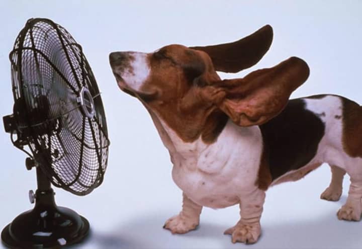 Find out how to stay cool and save money this summer.