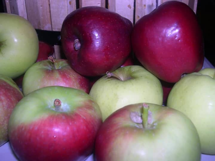 Learn how to make apple cider Sunday at the Tenafly Nature Center.