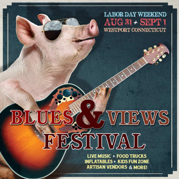 Blues, Rock, and Funk bands are part of the Blues &amp; Views Festival at the Levitt Pavilion for the Performing Arts.