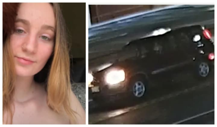 Alysa Jade Kristjanson, 22, of Princeton, was killed in a hit-and-run crash on Route 130 that may have involved a dark-colored SUV, pictured right.