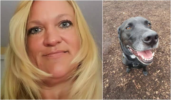 Lisa Dahse died on Nov. 5. Her dog, Diesel, needs a new home.