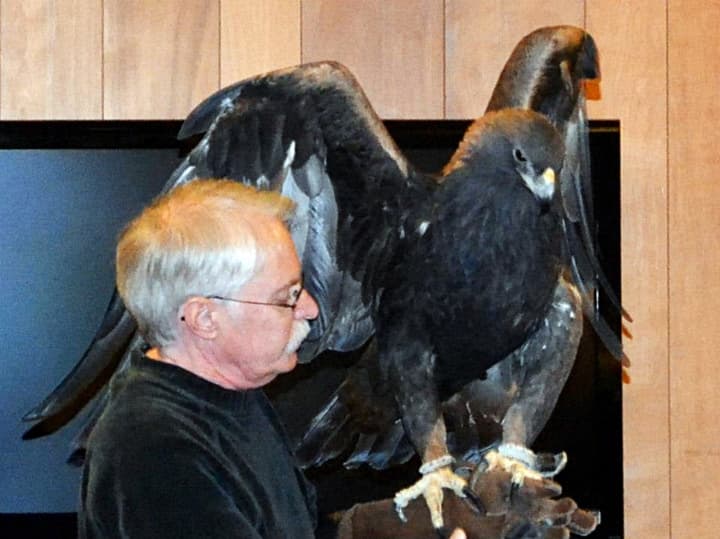 Bill Streeter holds a golden eagle during a 2015 presentation.