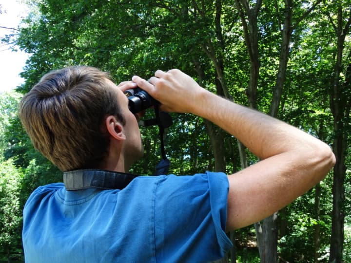 Binoculars are a valuable tool for birders.