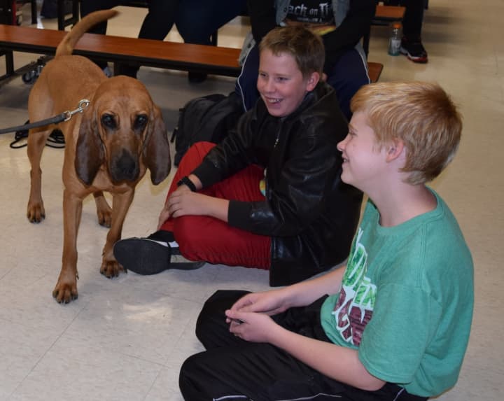 Wiltsy the police dog poses with students.