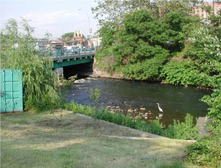 The Bronx River Alliance will coordinate watershed management efforts for the Bronx River using a grant from the Westchester Community Foundation.