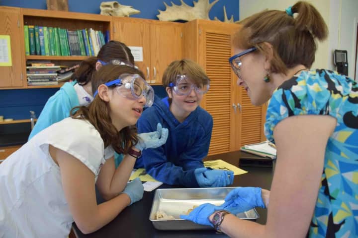 Bronxville Middle School seventh-graders had the unique opportunity to get immersed into a full week of science as part of an i2 Learning experience from May 16-20.
