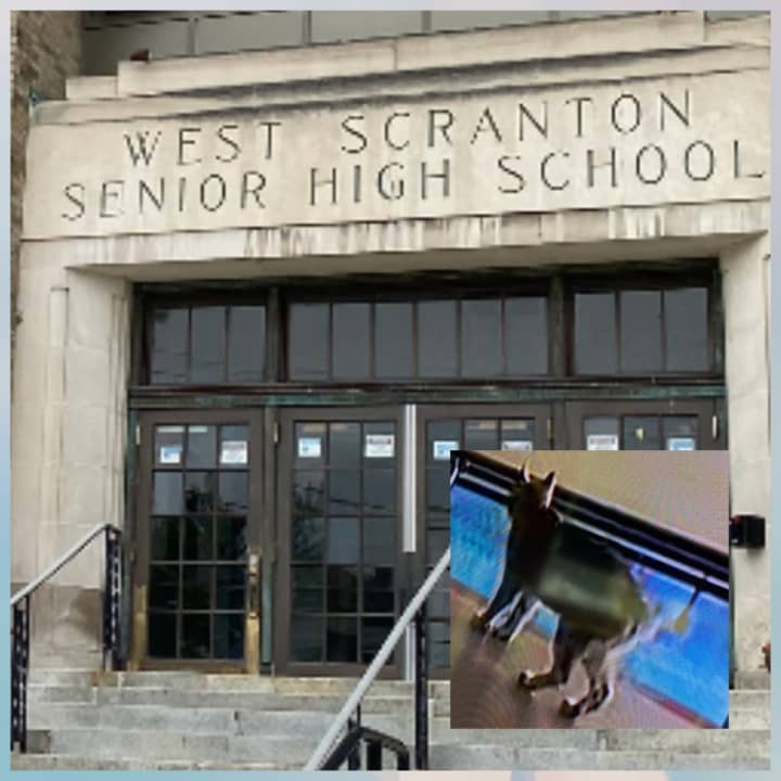 West Scranton High School and a CCTV image of the bobcat inside of the school.