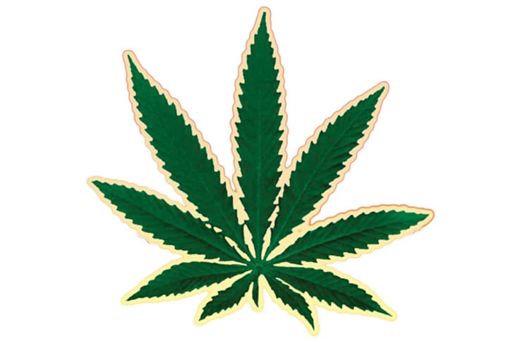 Cannabis marijuana
