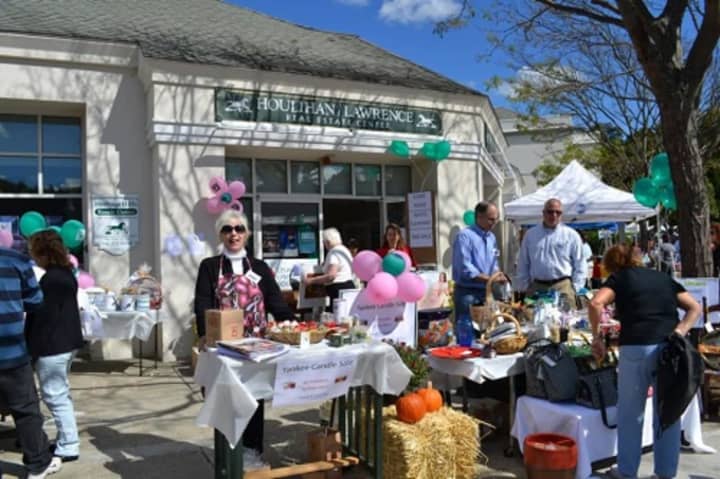 Businesses showcase their wares and services at Somers&#x27;  Community Day in 2013. This year&#x27;s event takes place on Saturday.