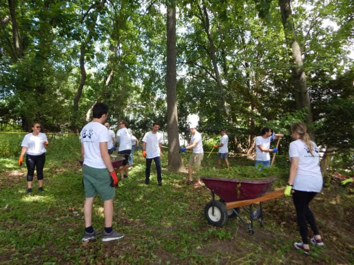 Volunteers from AXA IM clear the land to make room for an outdoor classroom.