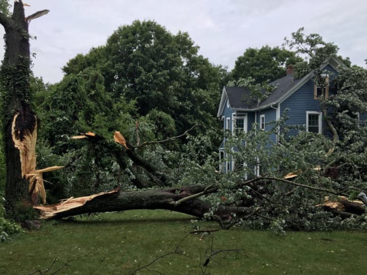 Several trees are down due to storms Wednesday afternoon in North Haven. This tree struck a house and cars on Middletown Avenue, according to the North Haven Fire Department.