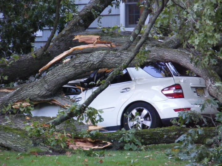 A Mercedes Benz SUV was among the three Ridgewood vehicles wrecked by a falling tree Thursday.