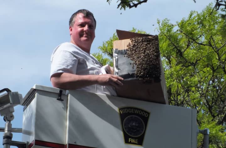Frank Mortimer is the bees&#x27; knees when it comes to harvesting a hive.