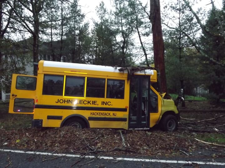 The bus &quot;continued about 100 yards and hit a tree head-on.&quot;