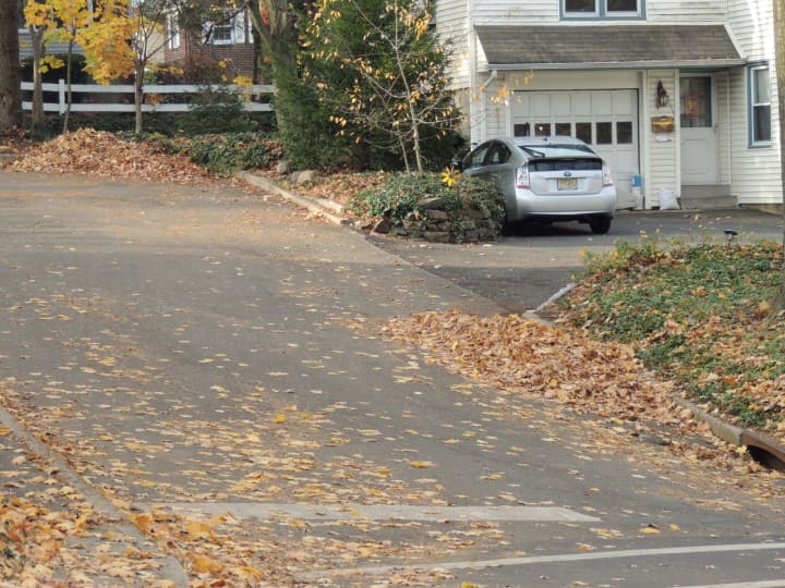 Starting Dec. 20, Demarest residents will have to start bagging their leaves for pick-up. 