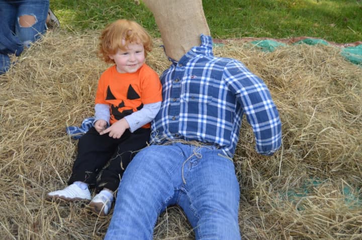 The littlest visitors enjoy the annual Scarecrow Festival at Oronoque Farms in Shelton last weekend.