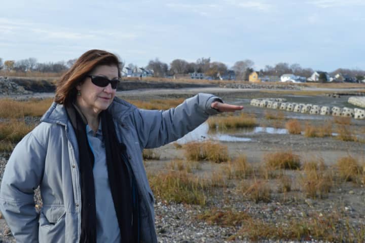 Jennifer Mattei, a biology professor at Sacred Heart University in Fairfield, is overseeing an innovative project to protect the Stratford coastline from erosion.