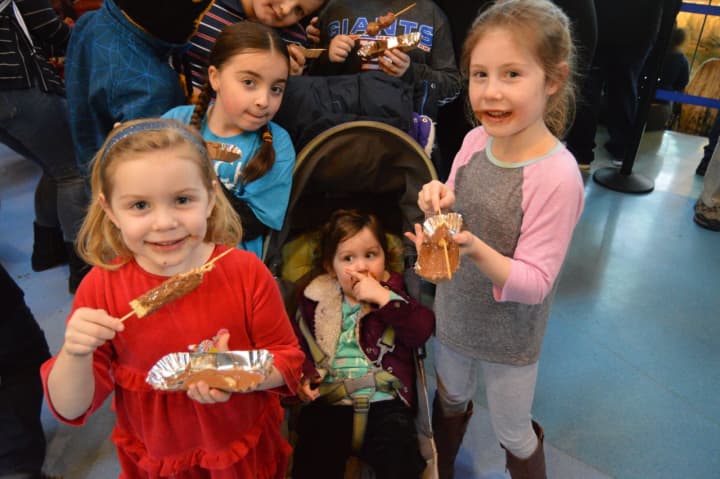 Chocolate lovers of all ages enjoy the treats at the Chocolate Expo at the Maritime Aquarium at Norwalk.