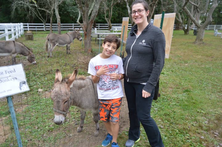Attendees at the annual fall festival at Plasko&#x27;s Farm in Trumbull check out the miniature donkeys.