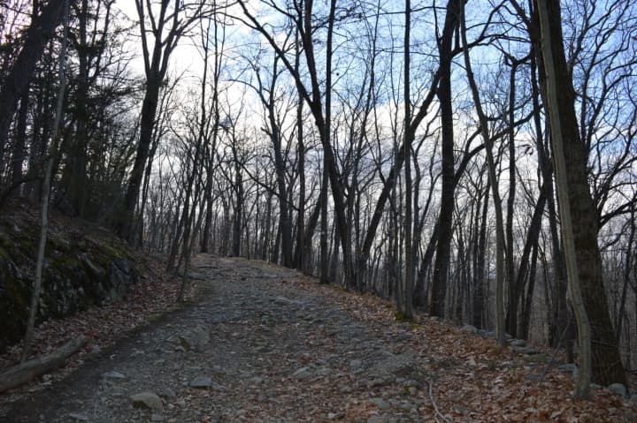 Hikers will take to the trails in Ringwood State Park on New Year&#x27;s Day.
