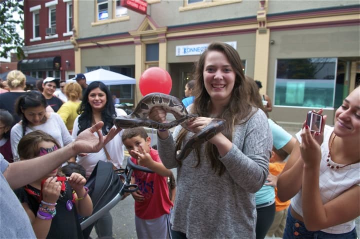 A girl handles a boa constrictor at Saturday&#x27;s Taste of Danbury festival. A boa constrictor was found Saturday in Darien.