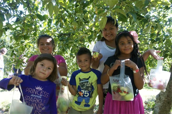 Everybody loves apples at Silverman&#x27;s Farm.