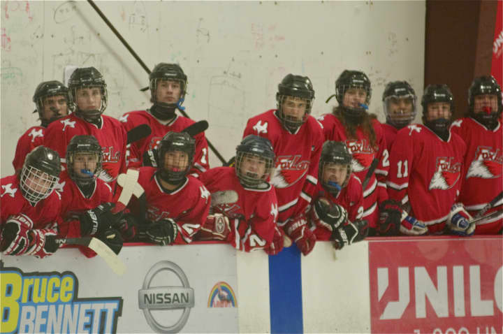 The Fox Lane bench watches the action on the ice.