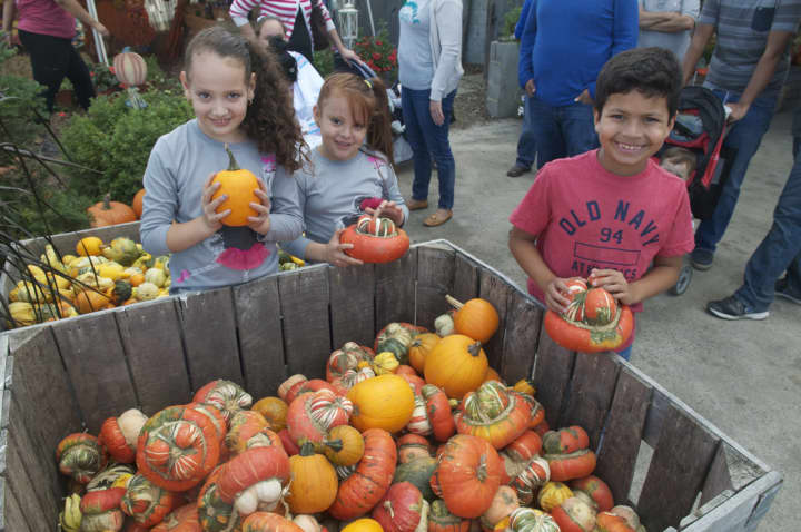 Visitors pack Outhouse Orchards on fall weekends for apples, pumpkins, baked goods, and more.