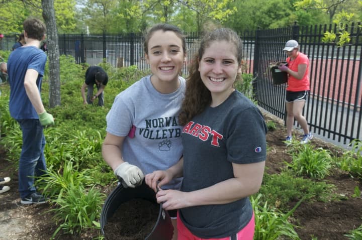 More than 200 students and 30 teachers take part in Norwalk High School&#x27;s Cleanup Day.