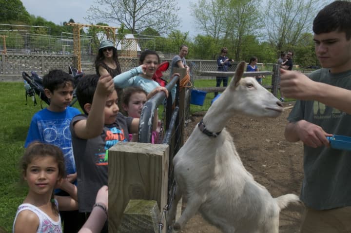 Wakeman Town Farm holds its traditional spring kickoff event dubbed Greenday, featuring a variety of family-focused activities.